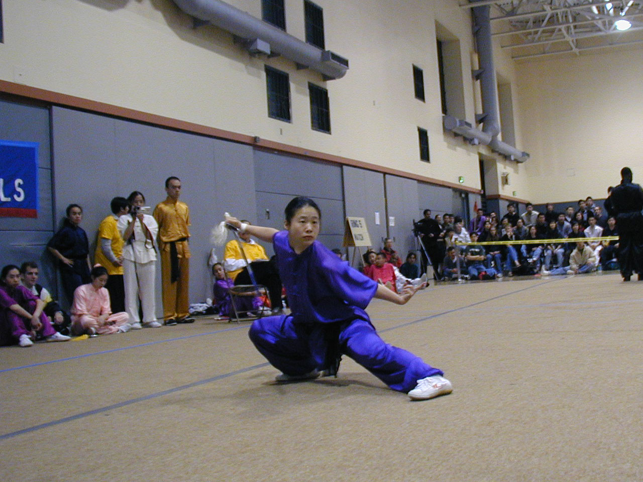 060_Wushu