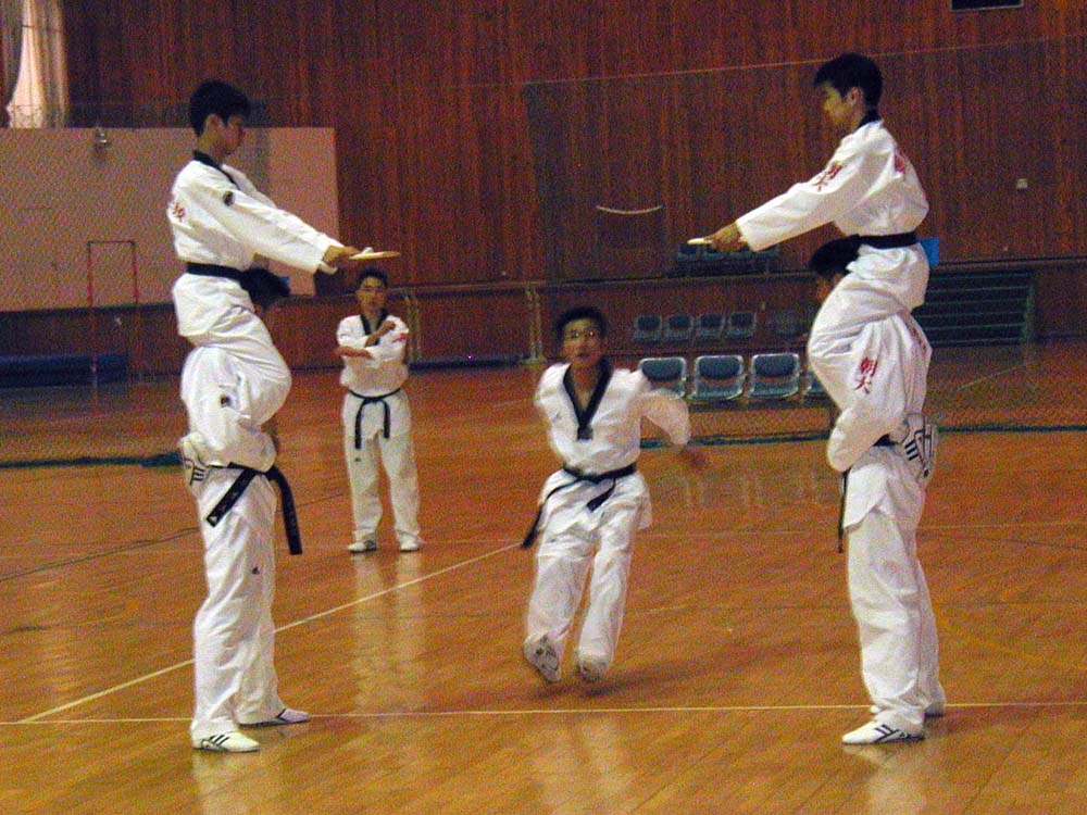 060_tkd_demo